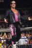 Screenshot 2024-09-24 at 15-37-25 bret hart - Google Search.png