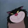 Cat Himiny